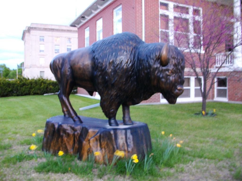 bronze buffalo, Stockton, KS, Нортон