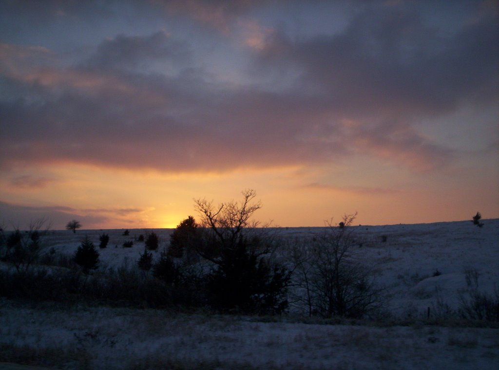 Winter Sunset, Палмер