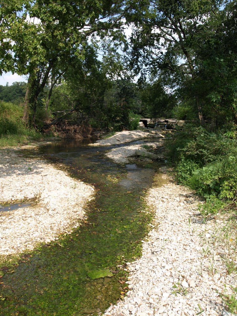 Otter Creek, Палмер