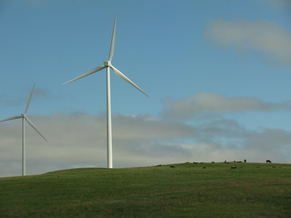 Modern Kansas Windmill, Палмер