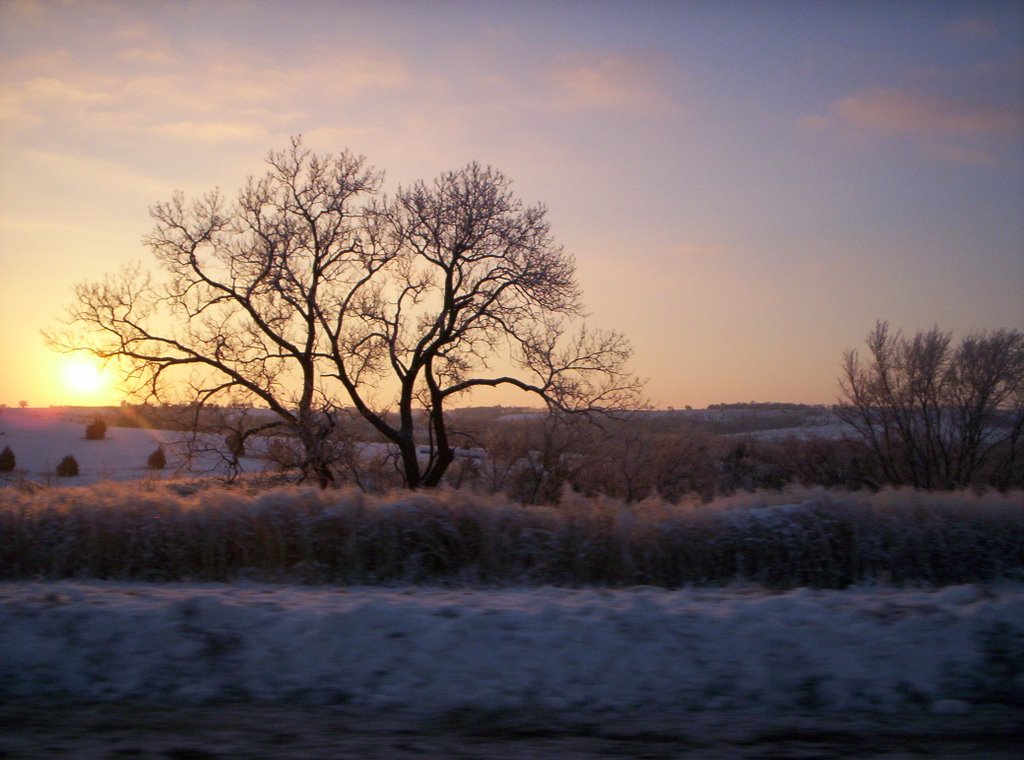 Cold Winter Sunset, Палмер