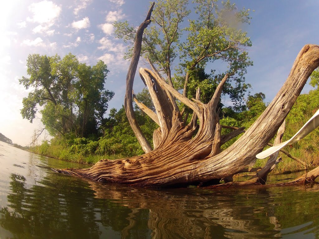 Drift Wood Crystal Lake Wichita, Парк-Сити