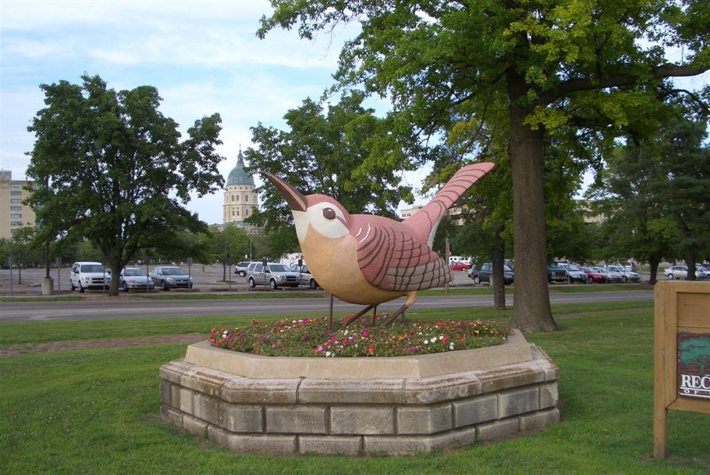 WREN station bird, Huntoon Park, Topeka, KS, Топика