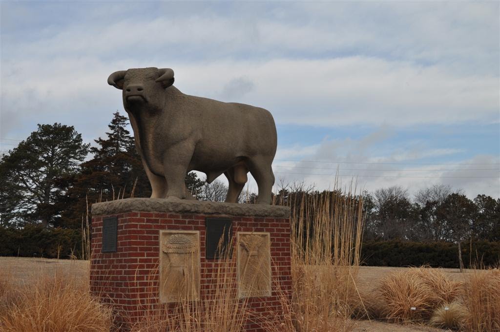 Hereford bull, limestone sculpture by Pete Felten, Hays, KS, Хэйс