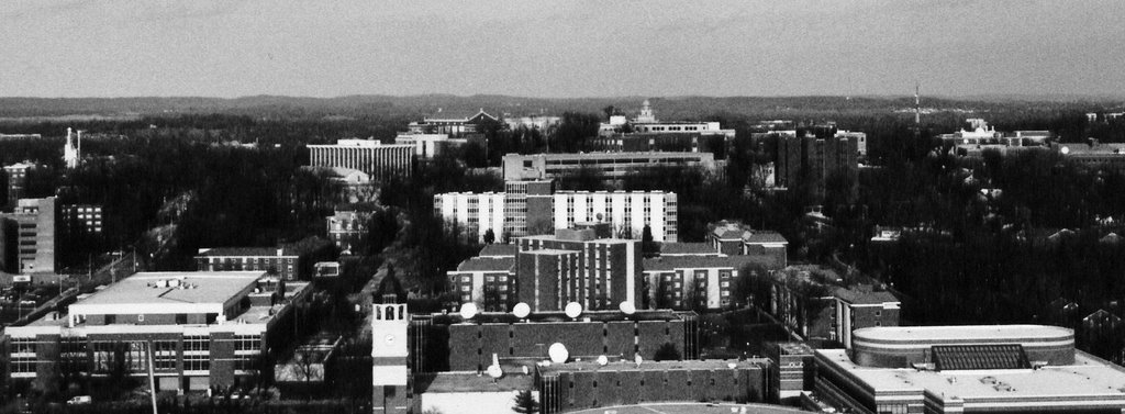 Western Kentucky University, Баулинг Грин