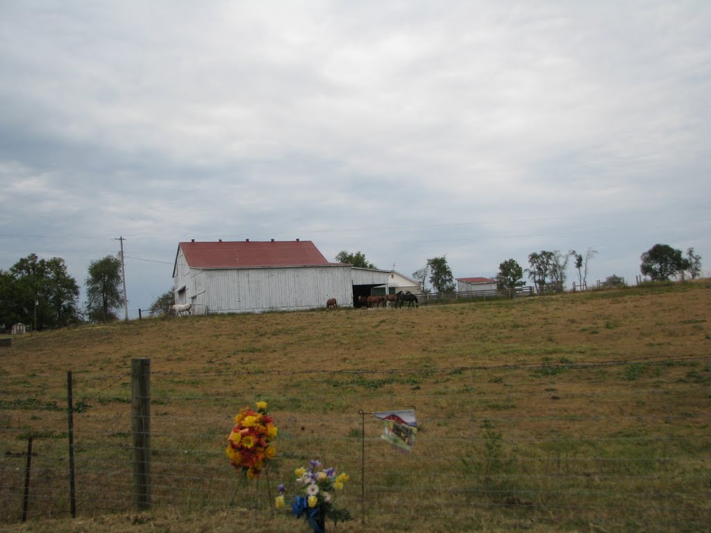 Kentucky Farm, Стампинг-Граунд