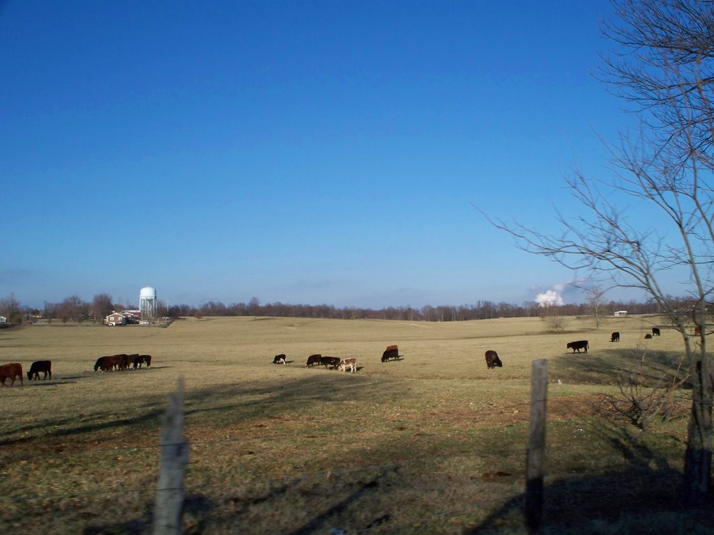 Field With Tennessee Ridge Water Tower & TVA In Distance, Трентон