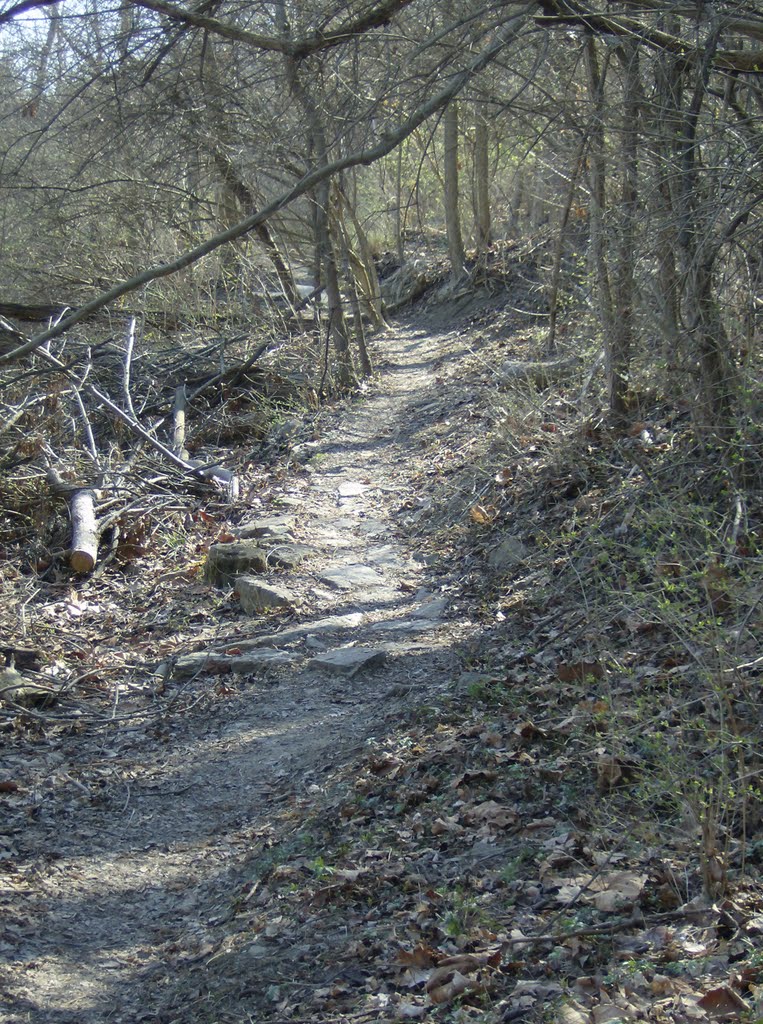Tower Park MTB Trail, Форт-Томас