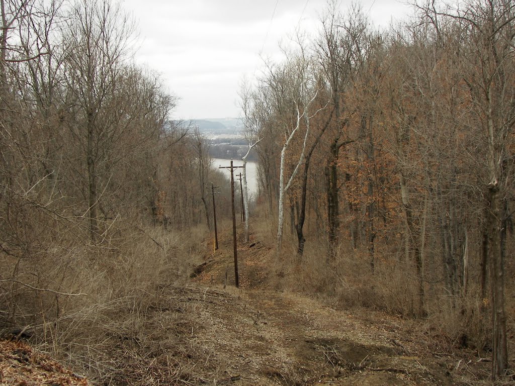 Ohio River from Ft. Thomas, Ky. Looking down from Tower Park., Форт-Томас