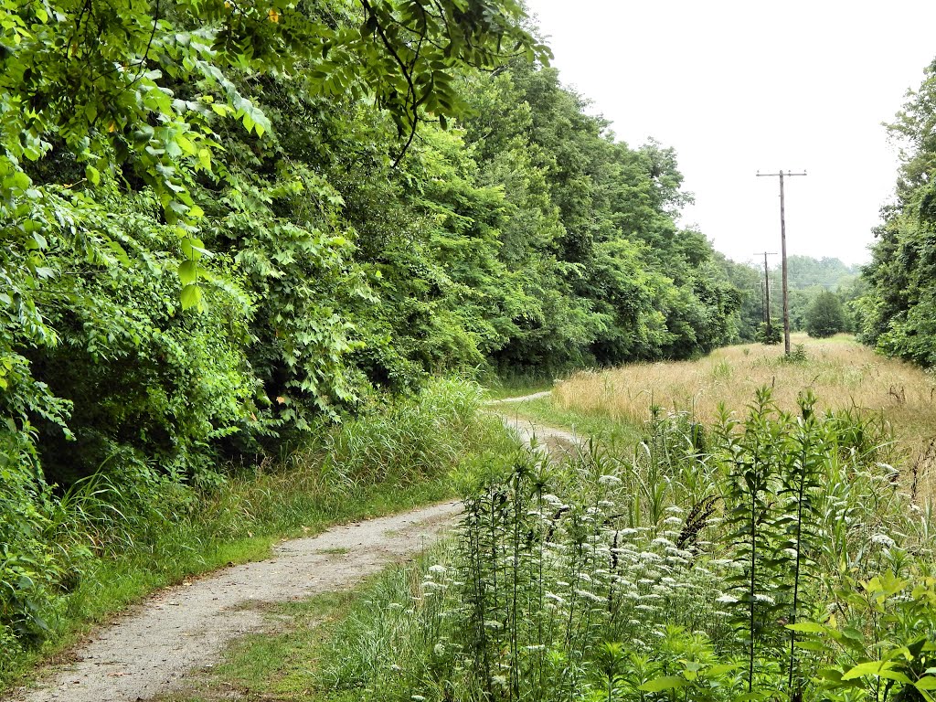 Jeffers Bend Recreation Area, Хопкинсвилл