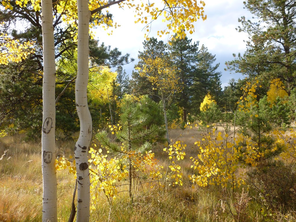 Fall Colors, Айдахо-Спрингс
