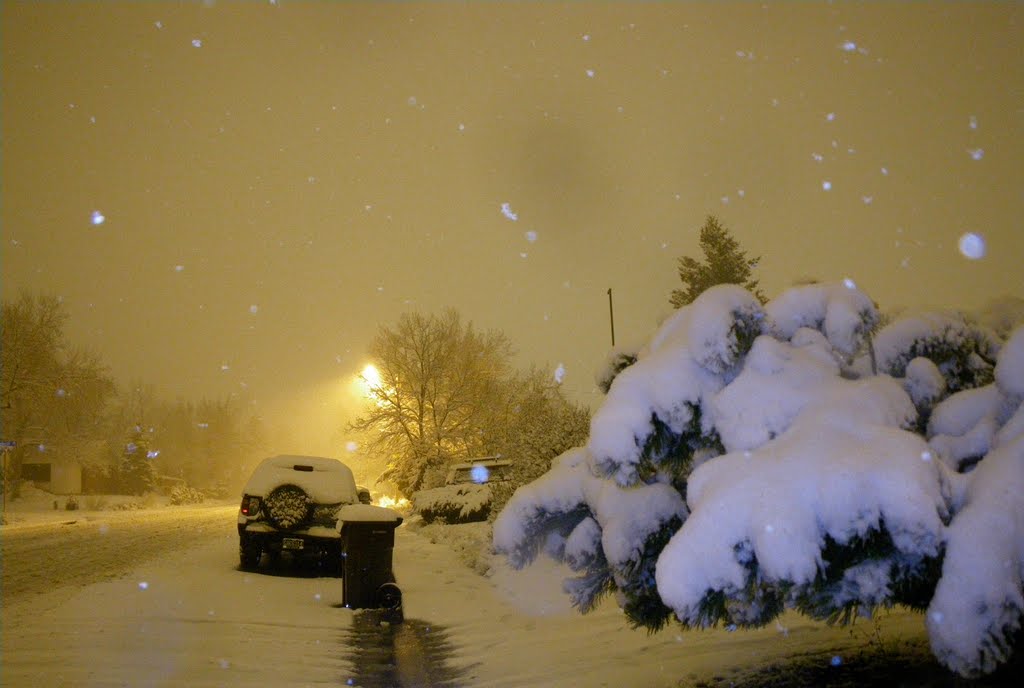 Late night snowfall. November 14, 2009., Аурора