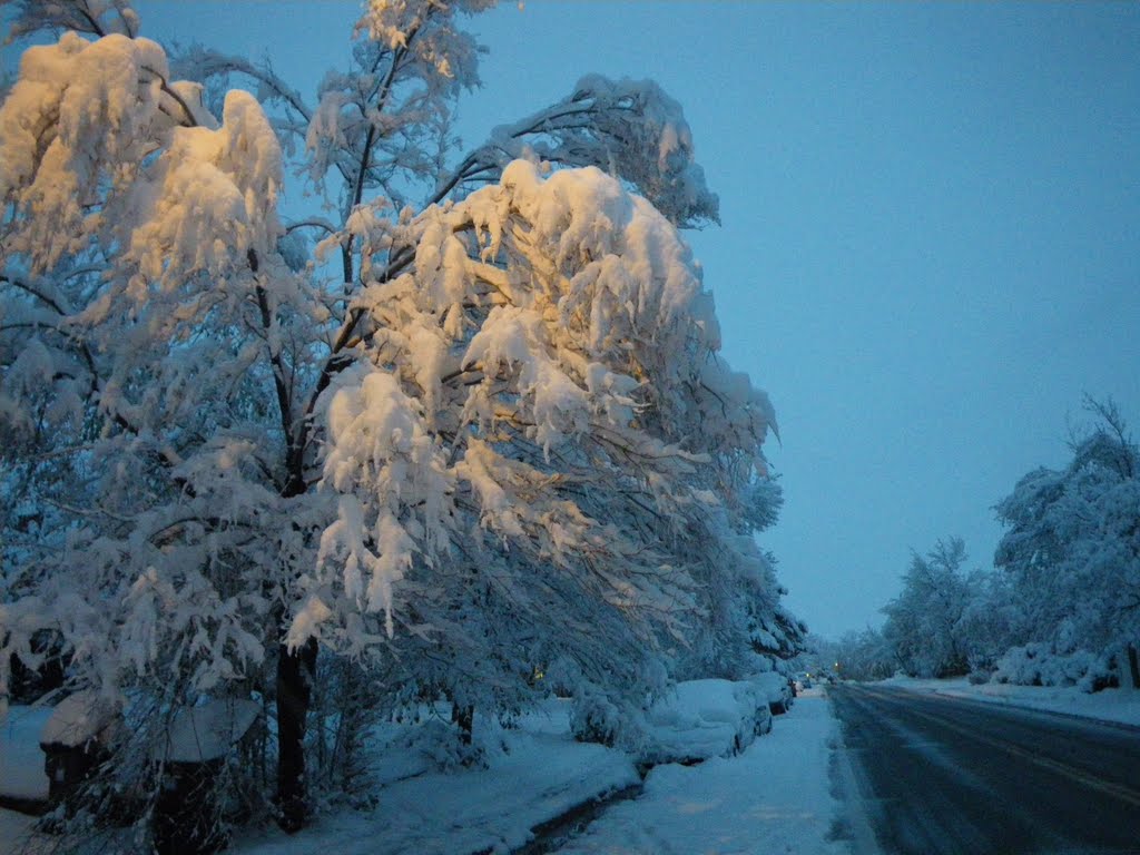 Frozen. October 2009., Аурора