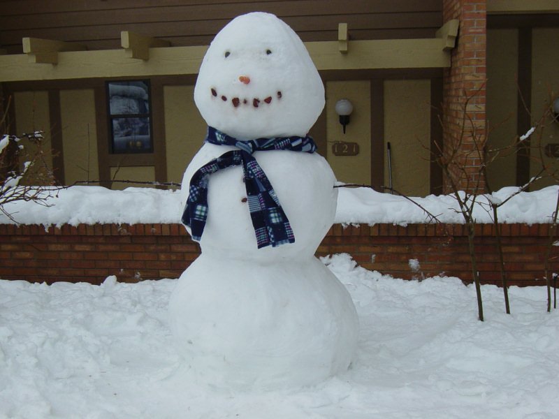 Snowman 3-19-03 - Snowman, Аурора