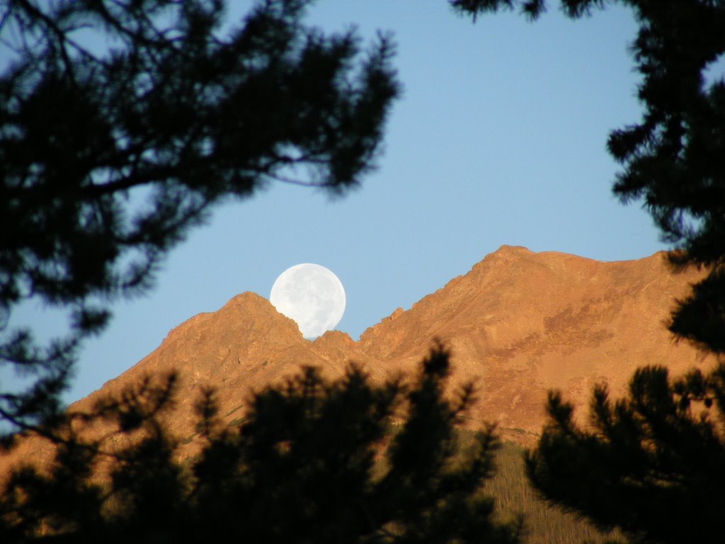 Moon over Red Peak, Диллон