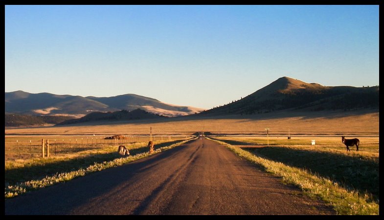 Eleven Mile State Park, CO, Инглевуд