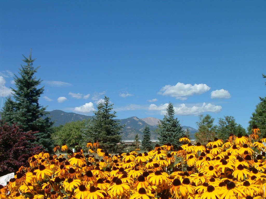Landscape at America the Beautiful Park, Колорадо-Спрингс