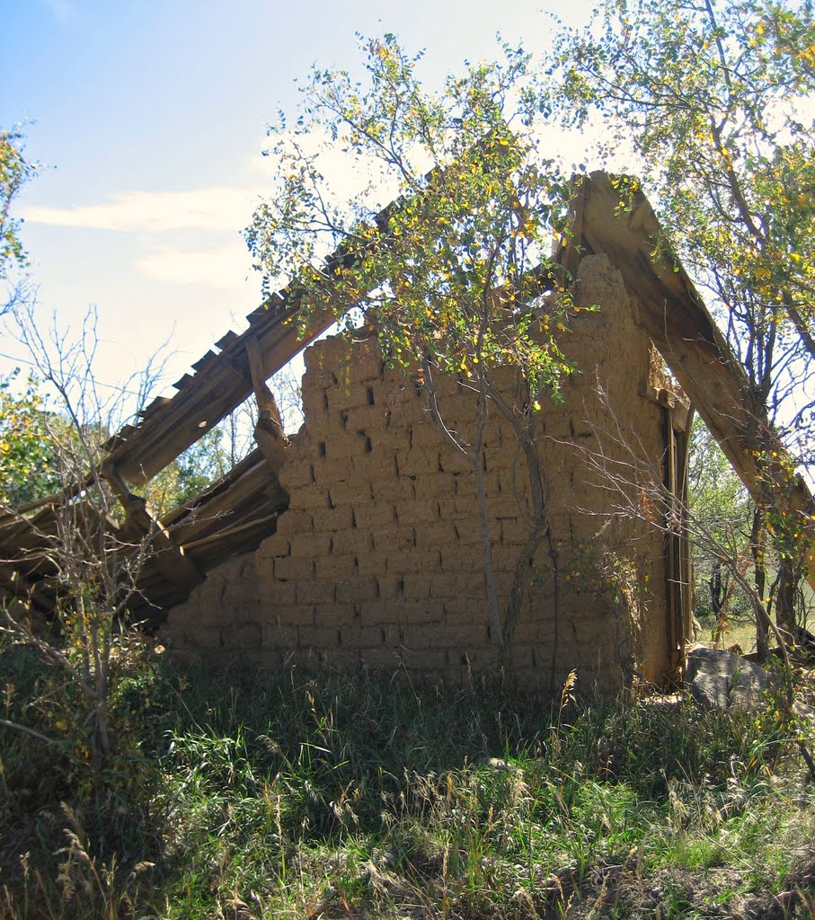 old adobe homestead in ruin, Лас-Анимас