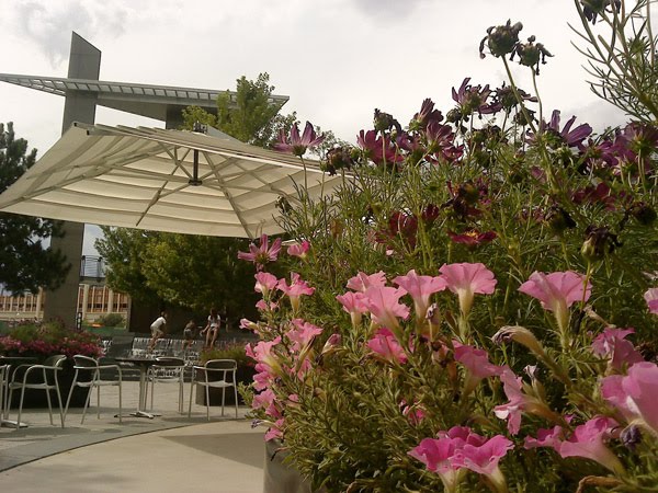 Belmar Flowers & Mod Umbrella, Лейквуд