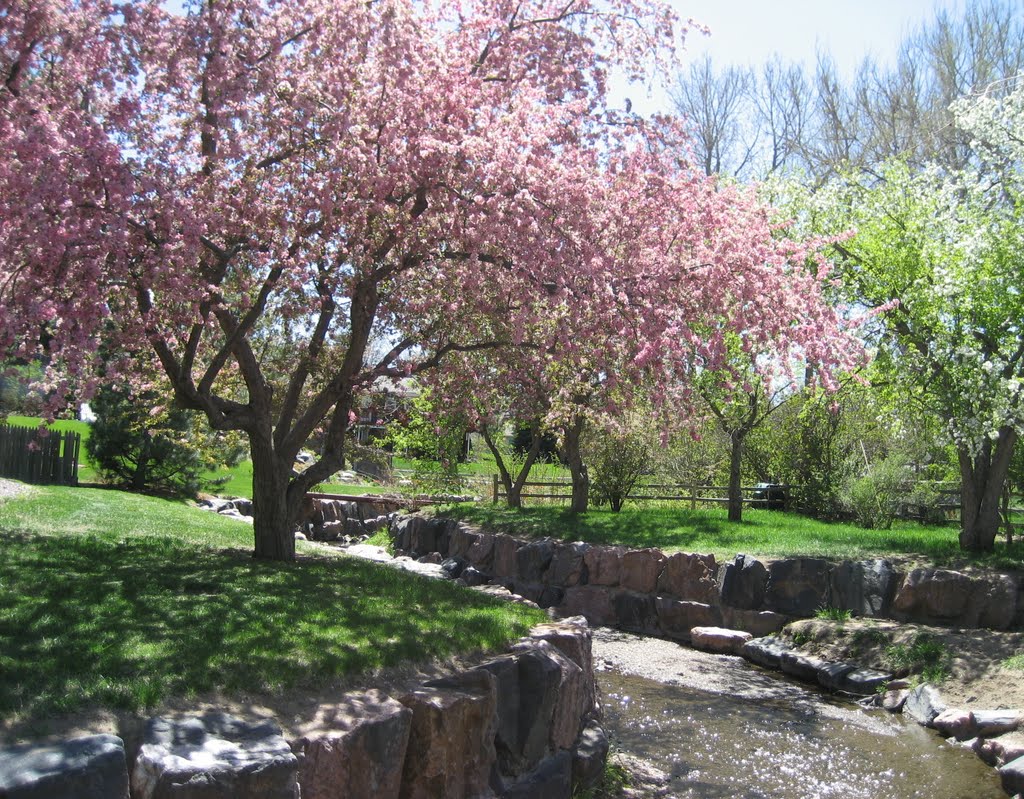 spring & stream beauty, Лейквуд