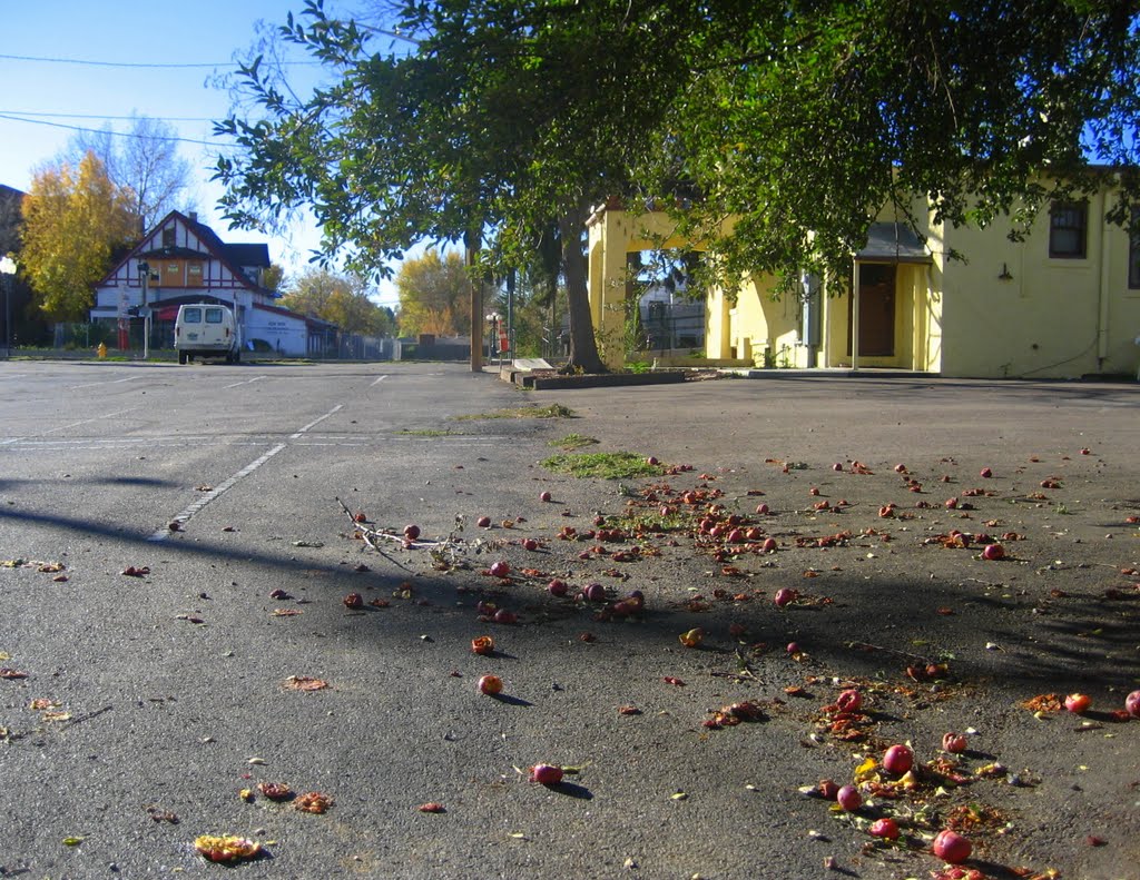 fallen apples, Лейксайд