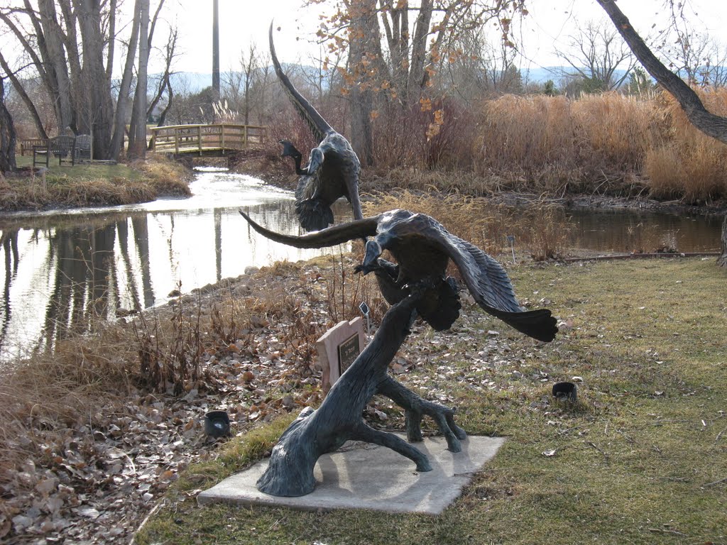 Geese sculptures in Hudson Gardens, Литтлетон