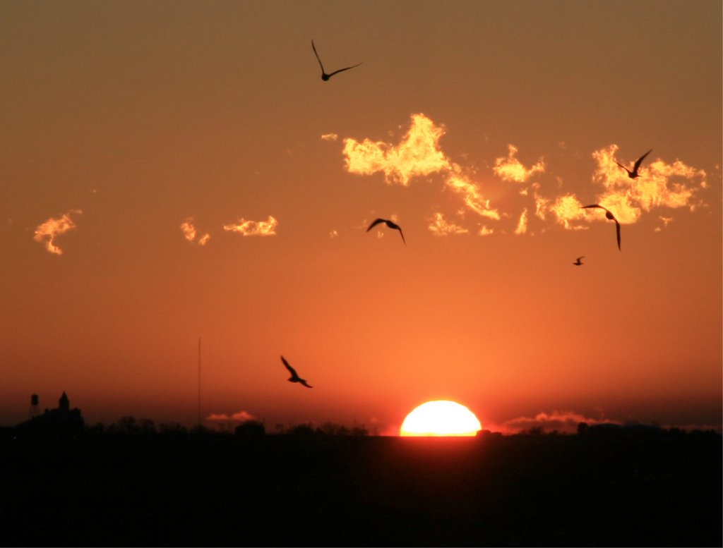 Sunrise and gulls, Нанн