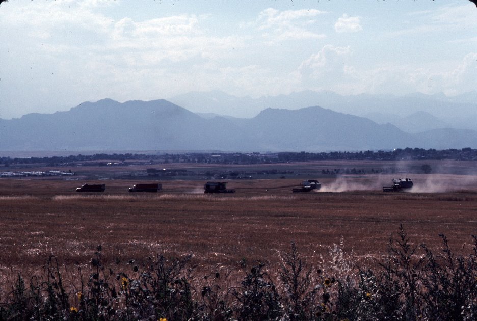 Front Range Harvest 1979, Нортгленн