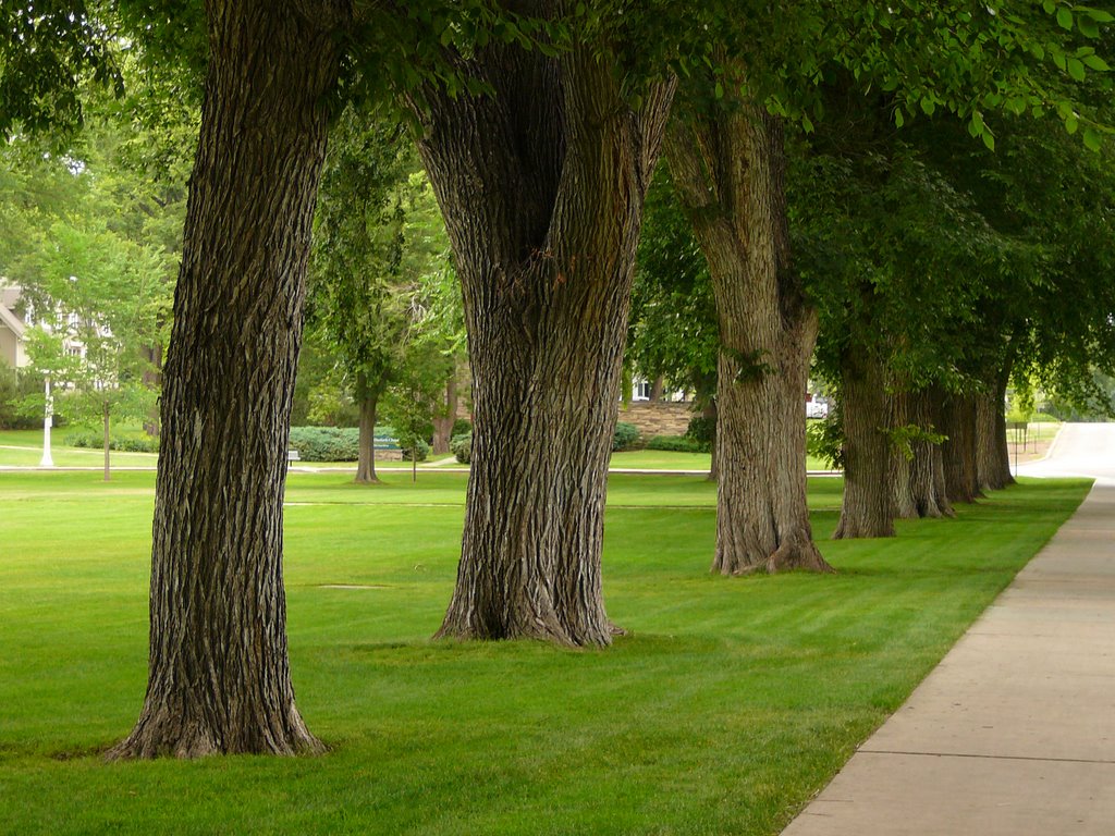 Oval, Colorado State University, Fort Collins, Colorado, USA, Форт-Коллинс