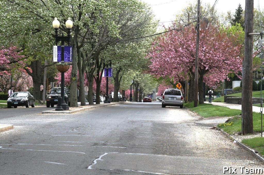 Park Ave near University Ave, Бриджпорт