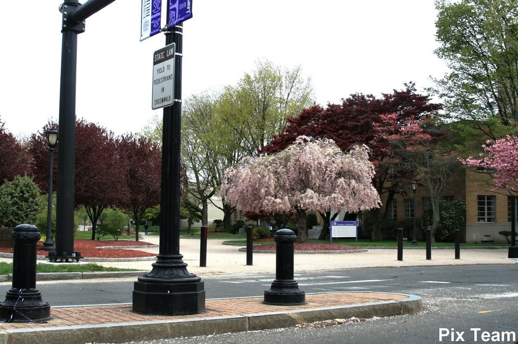 Park Ave - Mandeville Hall - Walkway- University of Bridgeport, Бриджпорт