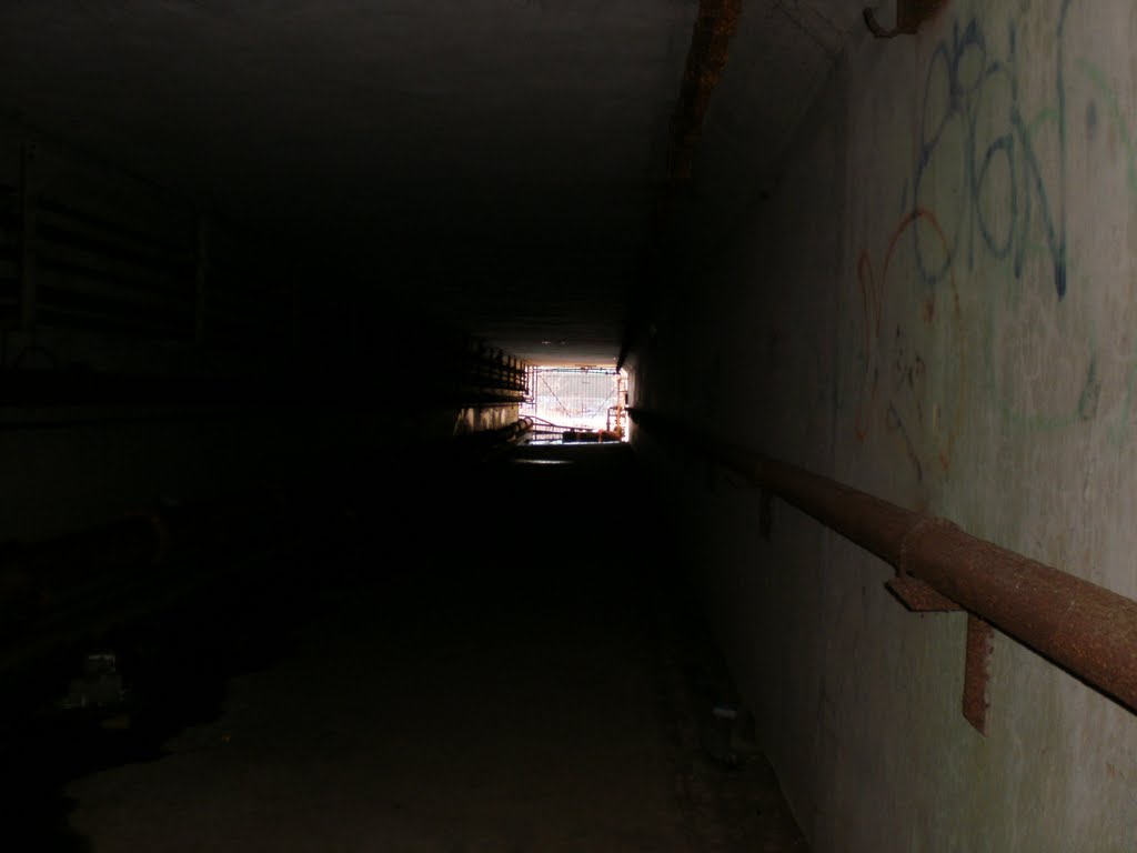 tunnel under pump house, Бристоль