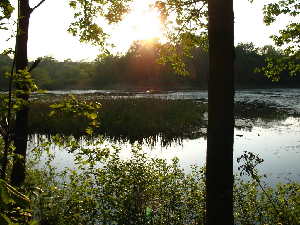 View from E side of Highland Pond - May 14 2010, Валлингфорд