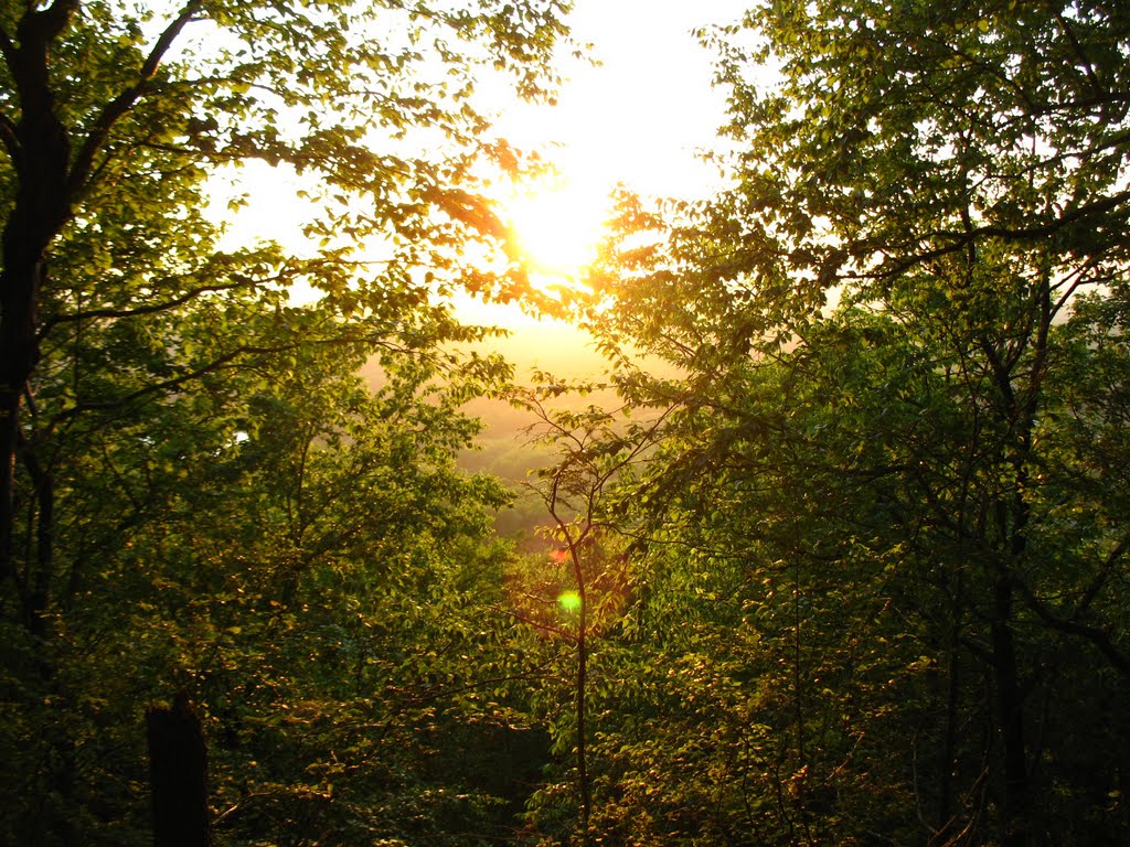 Sun setting through trees from Mattabesett Trail at N end of Lamentation Mtn. - May 24 2010, Ветерсфилд