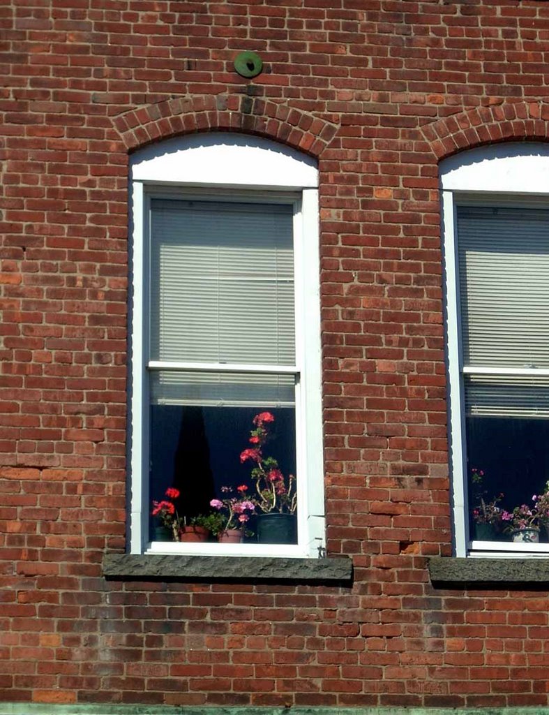 Window, Данбури
