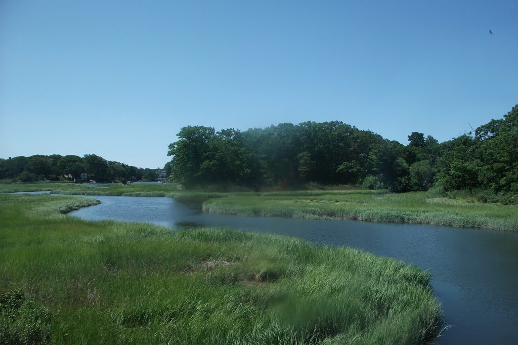 East Haven Marsh W.A., New Haven, CT (07-2010), Ист-Хавен