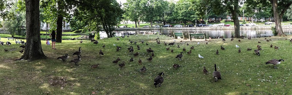 Upper Duck Pond, Милфорд