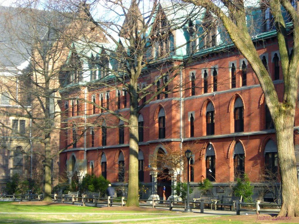 Universidad de Yale- New Haven-Diciembre 2009, Нью-Хейвен