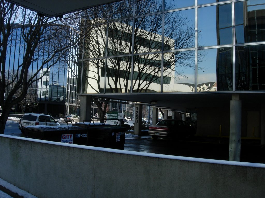 office reflection, Стамфорд