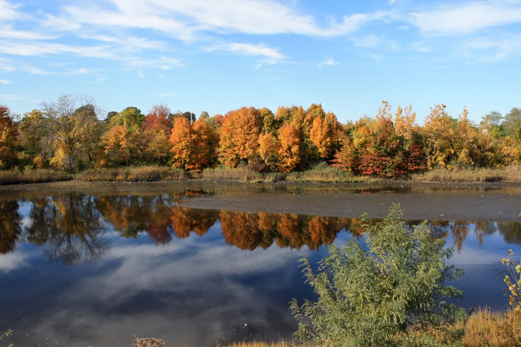 Ash Creek in fall, Файрфилд