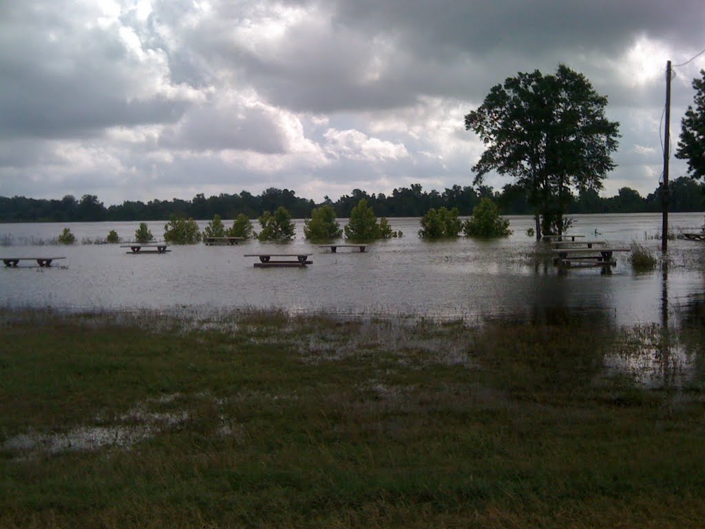 Simmesport, La. Flood 2011, Анги