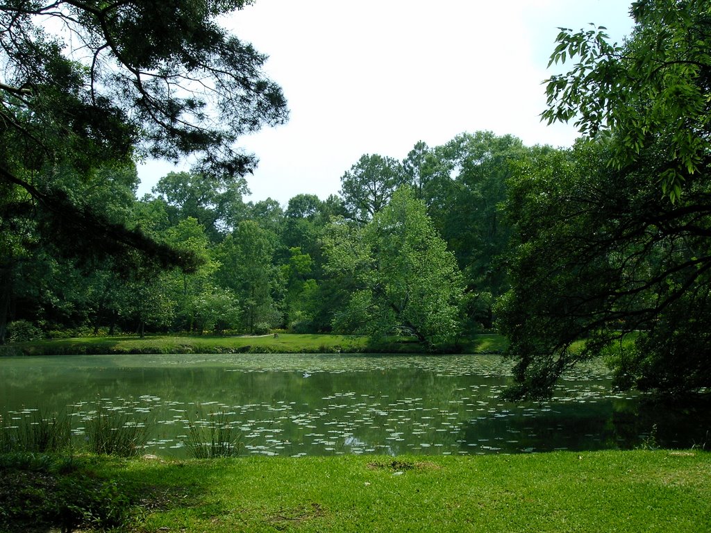 Pond at Cohn Arboretum, Бейкер