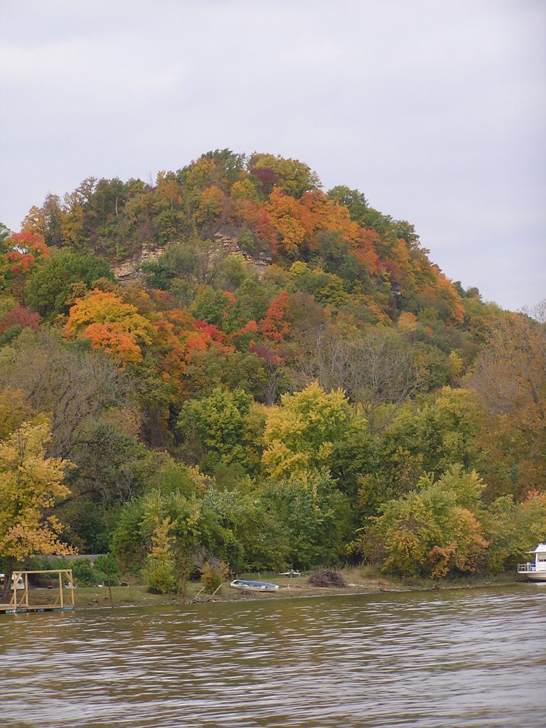 Pike County Bluff, Mississippi River, October 2009, Богалуса