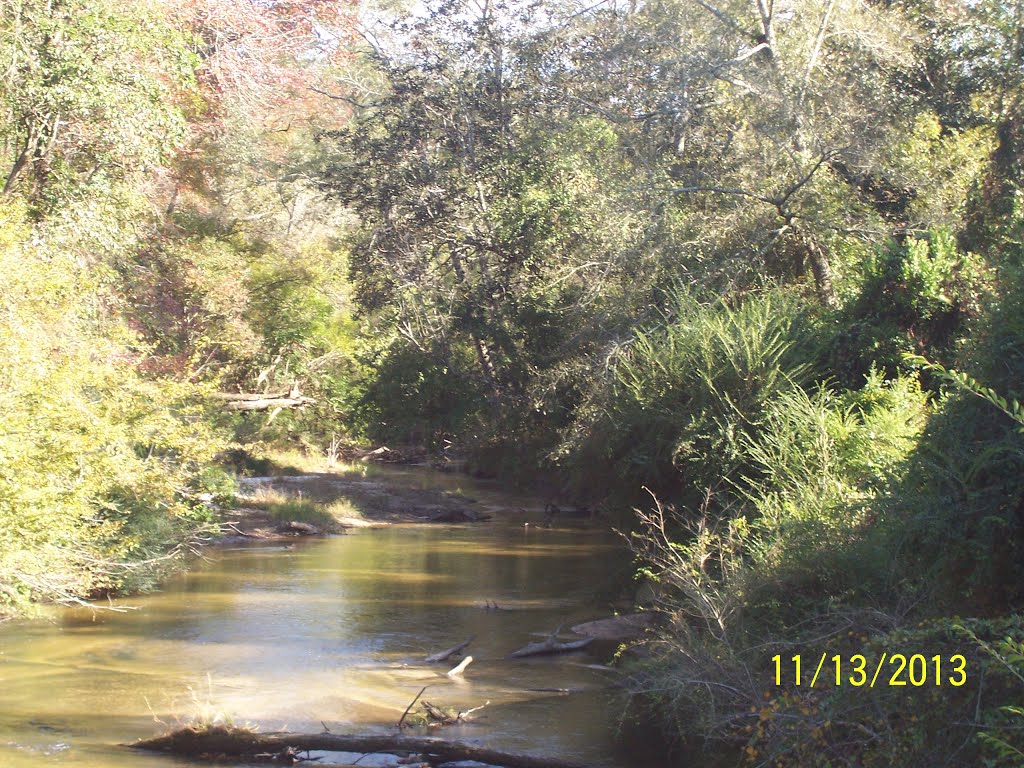 Pushepatapa Creek @ Monroe Creek Road East View, Варнадо