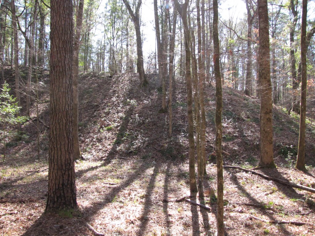 Clear Springs Trail, Homochitto Natt Forest, Mississippi, Клейтон