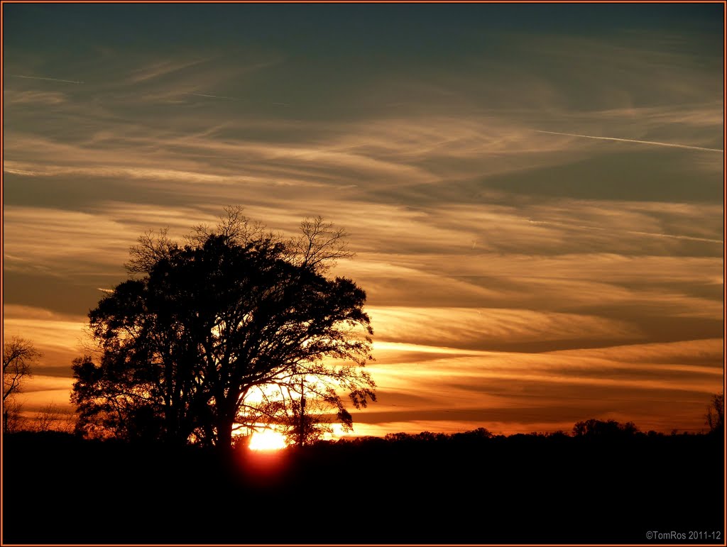 Sunset on Natchez Trace, Mississippi, Клейтон