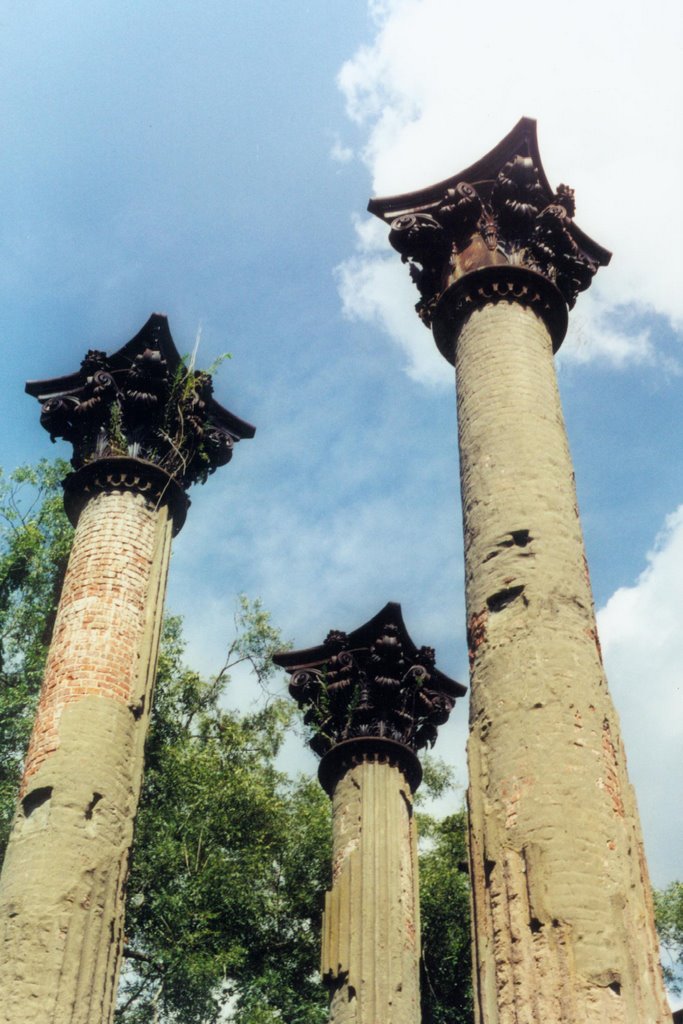 Windsor plantation ruins, near Alcorn Mississippi (8-2000), Клейтон