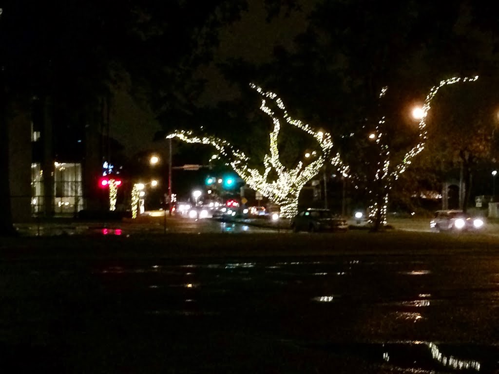 Christmas Lights, Лейк-Чарльз