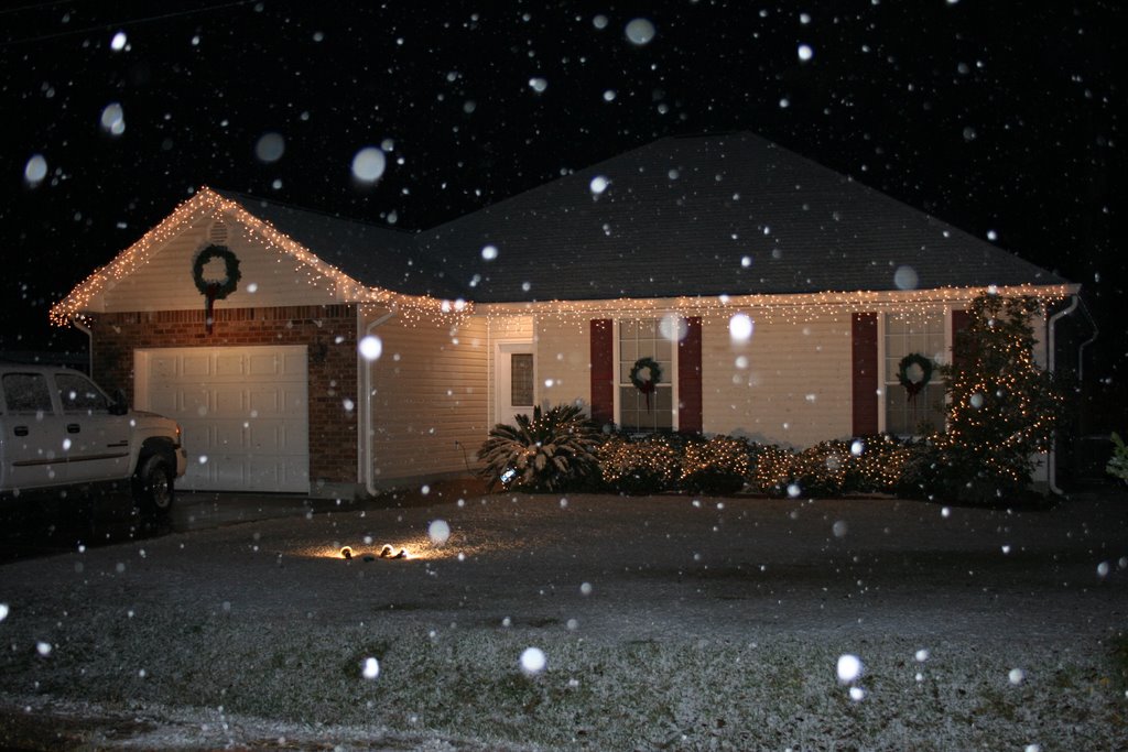 Snow in Hammond!, Олбани