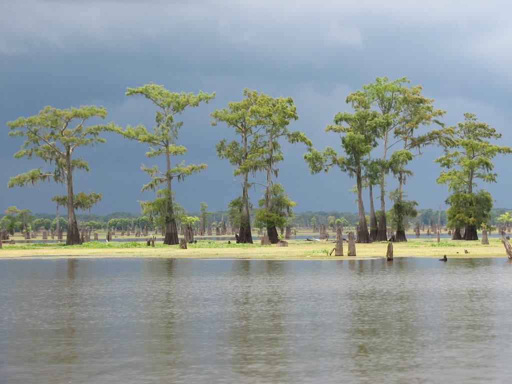 Storm approaching, Atchafalaya, Louisiana, USA, Чёрч-Пойнт